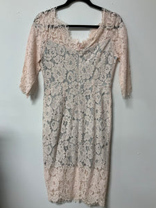 Vicky and Lucas (S) pink & grey lace dress NWT