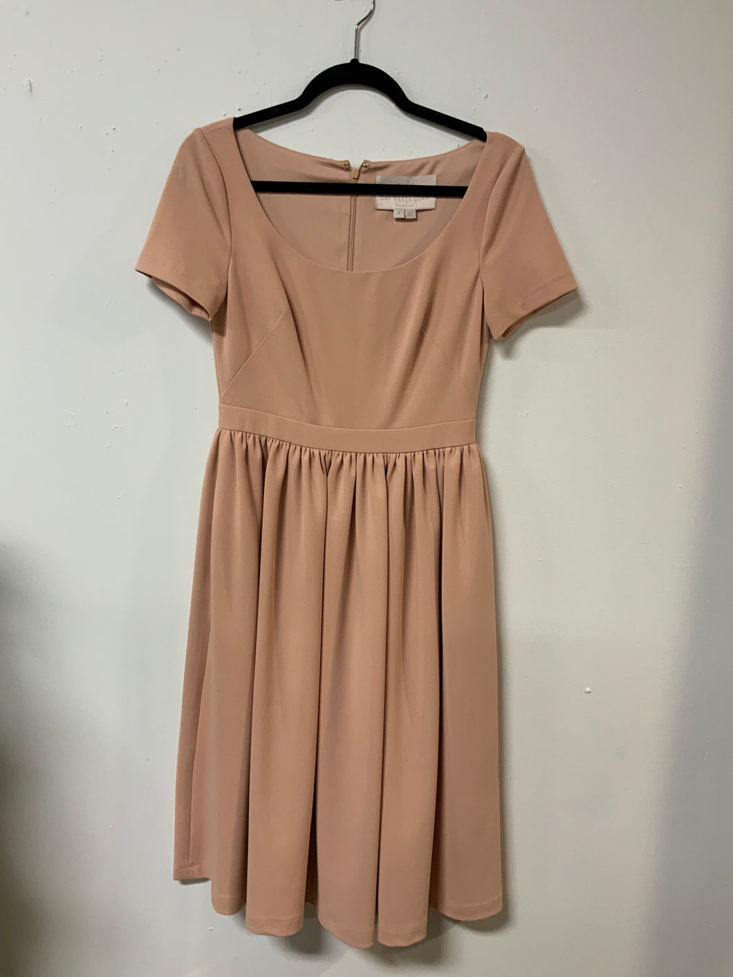 Gal Meets (2) blush flare dress