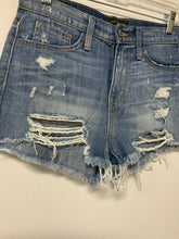 Load image into Gallery viewer, Flying Monkey (25) fray hole shorts
